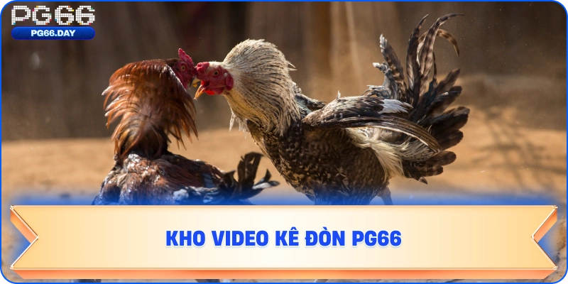 Kho video kê đòn PG66